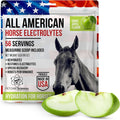 Horse Electrolytes Powder, Tasty Equine Hydration, Just Add to Water, Crisp Apple Flavor, 5 Pound Bag, Made in the USA
