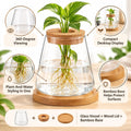 Glass Betta Fish Bowl, Desktop Plant Hydroponic Terrarium Kit 4''