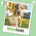 Nature Gnaws Beef Paddywack Tendons 5-6" Dog Chews, 5 Count