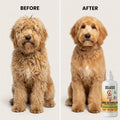 Dog Shampoo & Dog Detangler Spray, Tearless, Dog Bath Supplies, Mango 16 oz