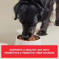 Open Farm Epic Blend Dry Dog Food, High Protein Beef Kibble, 18lb Bag