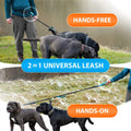 SparklyPets Hands Free Dual Dog Leash, Medium & Large
