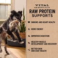 Vital Essentials Freeze Dried Dog Food, Raw Beef Crunchy Mini Nibs | Complete Meal or Topper | 96% Beef, Organs & Bone | Limited Ingredient, High Protein, Grain Free Dry Dog Food | 14 oz Bag