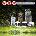 Parts Express Dog, Soft Anti-Biting Barking Chewing, Breathable Waterproof Adjustable for Small Medium Dogs,Blue (S)