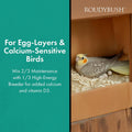 RoudyBush Daily Maintenance Bird Food, Crumbles, 44-Ounce, 2.75 lb (244CRDM)