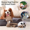 Fuzzwoof No-Stuffing Bunny Squeaky Dog Toy, Cute Plush Puppy Teething Toy to Keep Them Busy, Rabbit Interactive Tug of War & Dental Chew for Small Medium Large Dogs