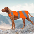 Orange - Extended/S