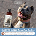 All American Canine Dog Weight Gainer Liquid – High Calorie Dog Food Supplement for Rapid Weight Gain, Mass, and Recover