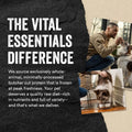Vital Essentials Freeze Dried Dog Food Topper, Raw Beef Ground Topper for Dogs | Complete Meal or Topper | High Protein, Grain Free Dry Dog Food Mix-in | 6 oz Bag