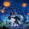 Rypet Dog Halloween Costume, Halloween Bat Wings for Dogs Cats
