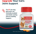 Antinol Plus, Mobility, Hip, and Joint Supplement for Cats, Green-Lipped Mussels and Krill Oil - Cat Joint Supplement, 30 Soft Gels