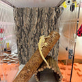 4PCS Reptile Cork Bark Mat,15.74 x 11.81 Inch Natural Cork Wood Terrarium Background Bearded Dragon Tank Bark Backdrop W