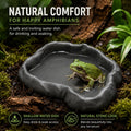 Tree Frog Tank Accessories Water Dish, 4-Piece Leaf Perch Set (Decor Bowl)