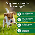 Advantage Treatment Spray for Dogs, Kills Fleas & Ticks, 8 oz.