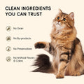Lickable Cat Treats with 4 Amino Acids, Chicken Variety, 48 Tubes