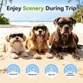 Dog Sunglasses UV Wind Dust Protection Pet Glasses with Adjustable Strap Party Cosplay Costume Photo Props for Small Dog
