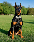 PET SHOW 5 Pack Dog Bowties Plaid for Large Dogs Slide on Collar