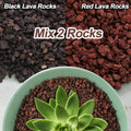 CJGQ 18lb Mix Lava Rocks for Plants - Horticultural Volcanic Rock Gravel for Landscaping, Succulents, Bonsai, Vase Fille