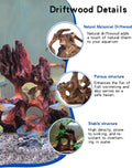 Aquarium Driftwood Cave for Betta Fish Hideout 7-10" with Low Tannins | Fish tank driftwood, no need to boil, 7-10" natu