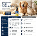 Grass-Fed Liquid Collagen for Cats and Dogs, Bacon, 4.06 OZ