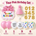 Cat Birthday Hat & Bandana Set with Age Numbers for Small Dogs Pink