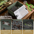 Self-Cleaning Cricket & Roach Feeder Habitat with Escape-Proof Lid