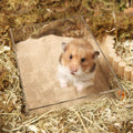 BUCATSTATE Hamster Bath Sand with Pour Spout, 6.6LB Desert Bath Sand | No-Dust Potty Litter Calcium-Free Sand for Hamste