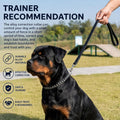 Freezx Chain Choke Collar for Medium Dogs,Slip Metal Training Chains