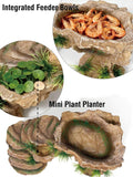 Reptile Hide Cave and Turtle Basking Platform - Resin Decor for Aquarium & Terrarium, Multi-Level Resting Rock and Shelt
