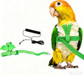 Bird Harness Leash for Pet Parrots