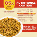 GOLDWORMS 10LB Dried Black Soldier Fly Larvae, 85X More Calcium Chicken Feed Than Mealworms, 100% Natural Non-GMO BSF, Treat for Chickens, Ducks, Laying Hens, Birds