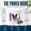 Healthy Breeds French Bulldog Multi-Vitamin Soft Chews 60 Count