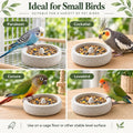 Pumice Stone Bird Feeder Bowl, 2-in-1 Food Water Dish