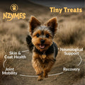 Nzymes Antioxidant Tiny Treats for Small Dogs, Hip & Joint Mobility, 270 Ct