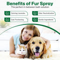 Lavender Dog Perfume Spray – Long-Lasting Dog Cologne & Deodorizing Spray for Dogs and Cats, Helps Eliminate Odor Betwee