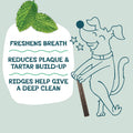 Shameless Pets Blueberry & Mint Dental Chews for Dogs, 32 Chews