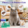 Topical Flea and Tick for Cats 6 Doses, Over 1.5 lbs and 8 Weeks or Older