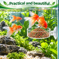 2 Pack Acrylic Shrimp Feeding Dish 60mm Tank Feeder with Suction Cup