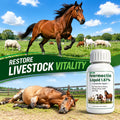 Iver-mectin for Horse, Maintain General Well-Being & Vitality