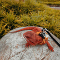 3 Pack Bearded Dragon Harness and Leash Set - Adjustable Soft Leather Lizard Harness with Retractable Leash Small Animal