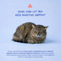 Probiotics for Cats - Diarrhea & Gas Support - with Inulin and Prebiotics - Digestive Gut Health - Allergies, Constipation Support (Powder for Cats)