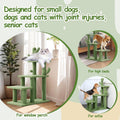 HOMBYS Cautus Cat Stairs for Old Cats & Dogs, Pet Steps for High Beds, Couch & Window,Vertical Cautus Green Cat Tree with Dangling Balls for Indoor Pets Climbing Playing, Holds Up to 150 Lbs,