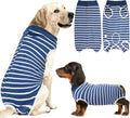 Recovery Suit for Dogs, Soft Dog Surgery Suit for Female Spay Male Neuter