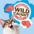 Purina Friskies Natural Cat Treats, Party Mix Natural Yums With Wild Caught Tuna and Added Vitamins, Minerals and Nutrients - 20 oz. Canister