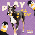 Yomp Penguin Dog Toy – Durable Stuffed, No Squeaker Dog Toys with Natural Canvas and Crinkle Paper – Interactive Stuffed