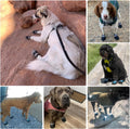 Dimicoo Breathable Dog Boots for Medium Large Dogs,Non-Slip Dog Shoes for Summer Hot Pavement,Lightweight Paw Protector 