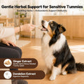 Petnanny Pumpkin Powder for Cats & Dogs, Anal Gland Health Fiber Supplement Stop Scooting with Inulin, Probiotics & Enzy