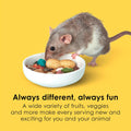 Kaytee Fiesta Mouse & Rat Food, Nutritious Blend, 4.5 Pounds