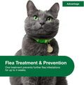 Advantage Topical Cat Flea Treatment and Prevention for Large Cats Over 9 lbs. | Apply Flea Drops Monthly | 2 Treatments