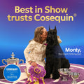 Nutramax Laboratories Cosequin DS Plus MSM Professional Line for Dogs, 60 Soft Chews